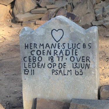 COENRADIE Hermanes Lucas 1877-1911