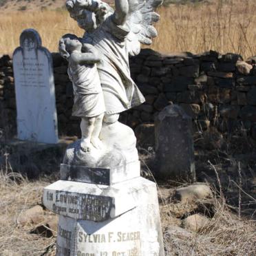 SEAGER Norman F. 1919-1926 :: SEAGER Sylvia F. 1921-1926