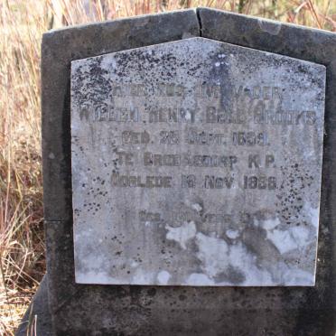 BROOKS Willem Henry Bell 1859-1938