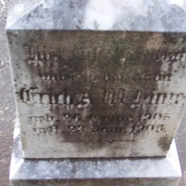 HINZE Erich A.? 1905-1906