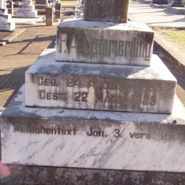 LAMMERDING F.A. 1883-1925