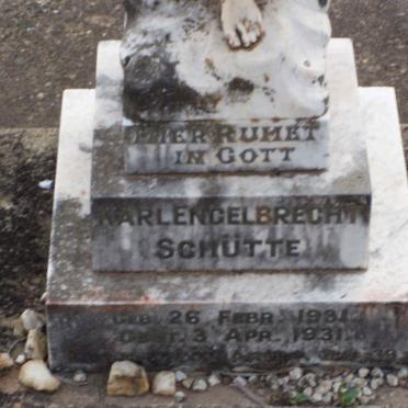 SCHUTTE Karl Engelbrecht 1931-1931