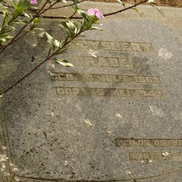 GRABE Gysbert 1868-1947