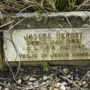 HERBST Jacoba 1945-1945