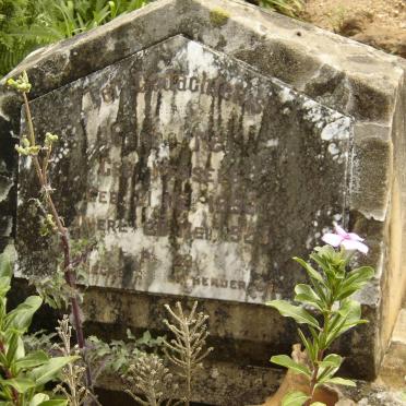 NEL Gootis nee WESSELS 1893-1923