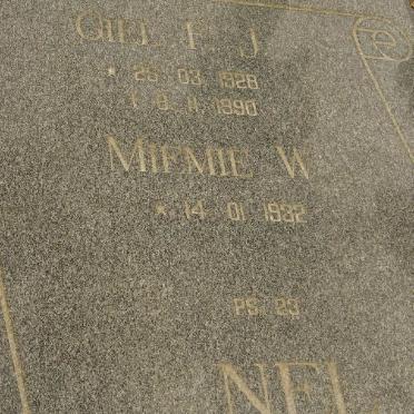 N - Vanne :: Surnames - N