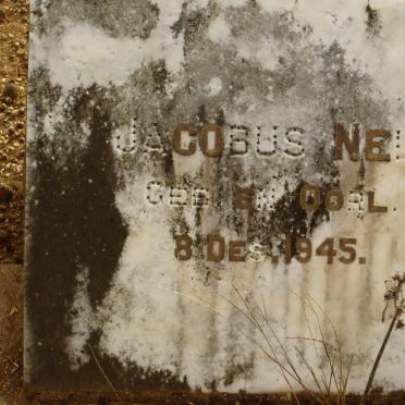 NEL Jacobus  1945-1945