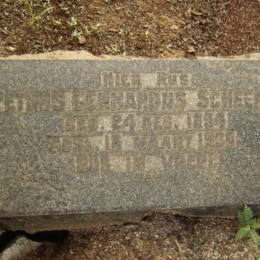 SCHEEPERS Petrus Gerhardus 1894-1930