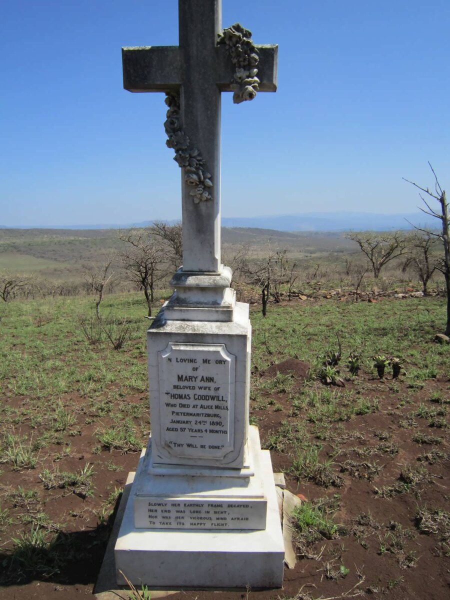 GOODWILL Mary Ann -1890