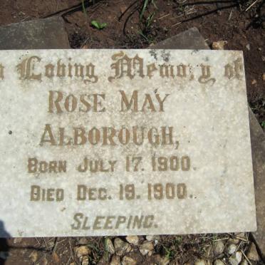 ALBOROUGH Rose May 1900-1900
