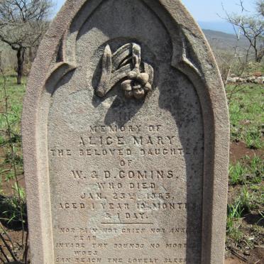 COMINS Alice Mary -1883