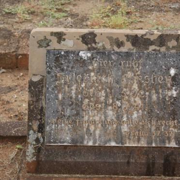 JENSHEN Friedrich 1872-1941