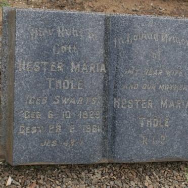 THÖLE Hester Maria nee SWARTS 1929-1961