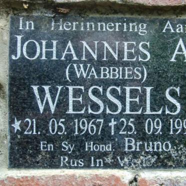 WESSELS Johannes A. 1967-1995