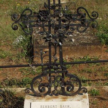 7. Aus Deutsch Südwest Afrika