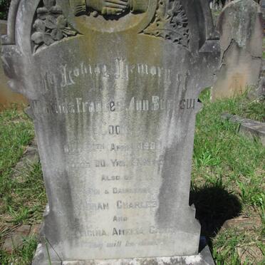 BURROW Matilda Frances Ann nee COOK -1900 :: BURROW Johan Charles :: BURROW Georgina Amelia