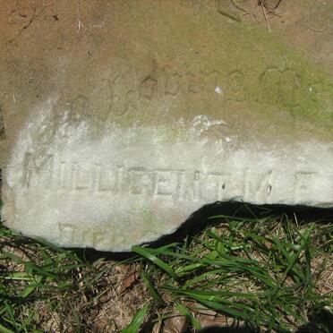 BLACK Thomas Roberts -1920 & Ellen -1919 :: BLACK Millicent M. -1894