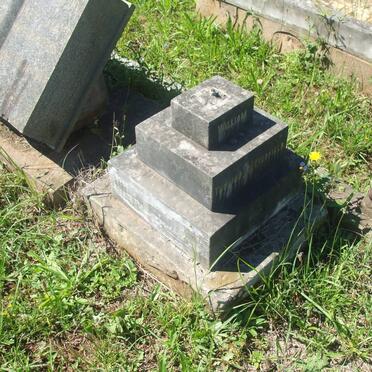 BUTTERFIELD :: HARKNESS