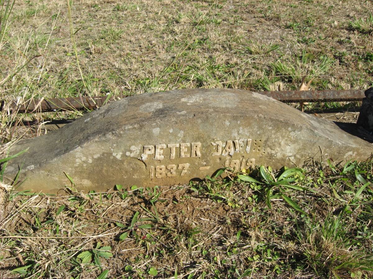 DAVIS Peter 1837-1919