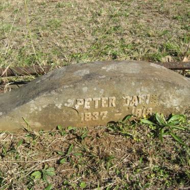 DAVIS Peter 1837-1919