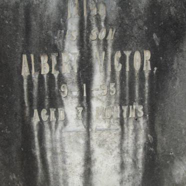 DOLPHIN Ann -1879 :: DOLPHIN Richard -1868 :: DOLPHIN Albert Victor -1895