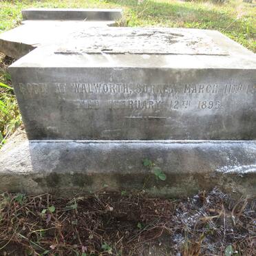 ELLIS Anne 1824-1895_1