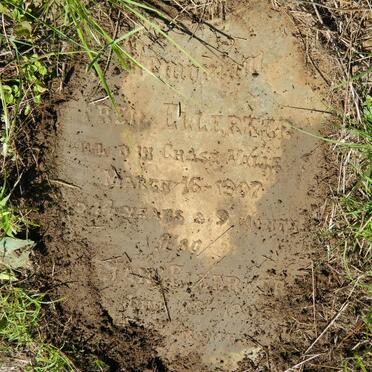 ELLERKER Fred -1907 :: ELLERKER Jan -1904