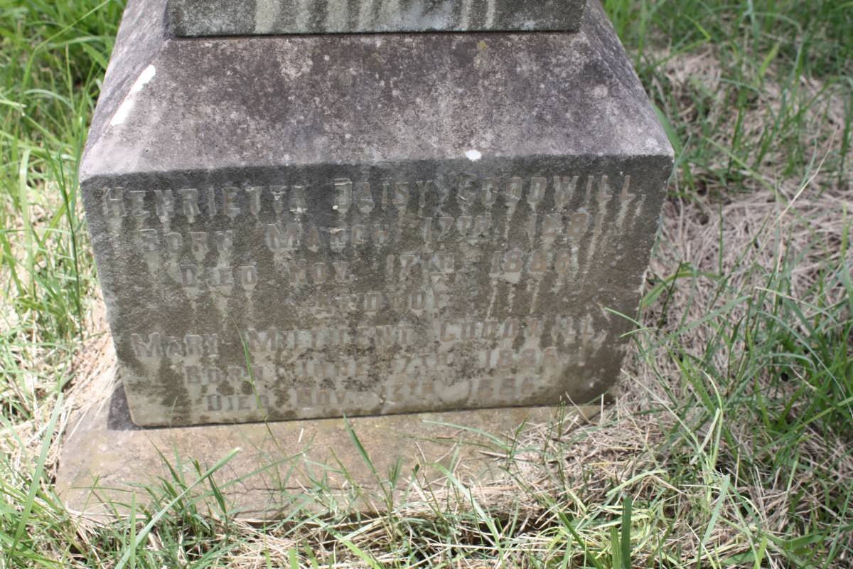 GOODWILL Henriette Daisy 1881-1886 :: GOODWILL Mary Millicent 1886-1886