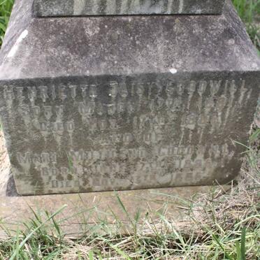 GOODWILL Henriette Daisy 1881-1886 :: GOODWILL Mary Millicent 1886-1886