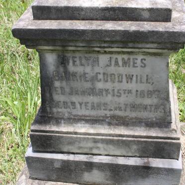 GOODWILL Evelyn James Baikie -1889