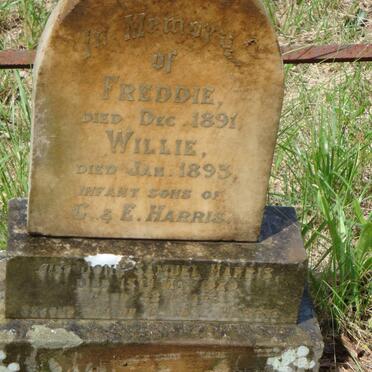 HARRIS Freddie -1891 :: HARRIS Willie -1893