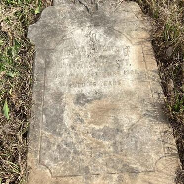 HALLETT Charles -1906