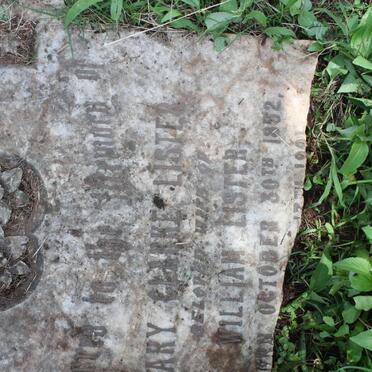 LISTER Mary Clarke 1852-1901