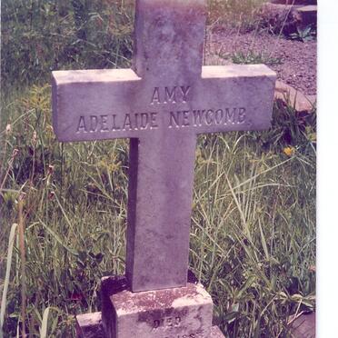 NEWCOMB Amy Adelaide -1883