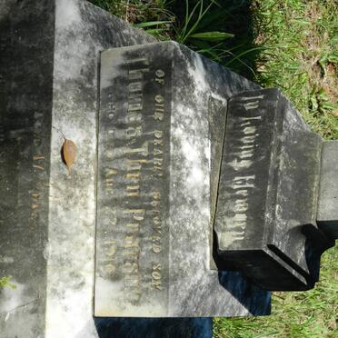 PEARSON Thomas Theo -1910