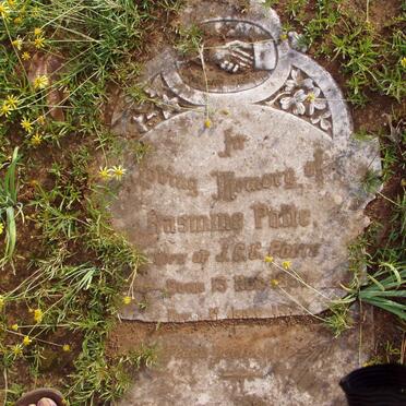 POLTE Rasmine  1850-1927