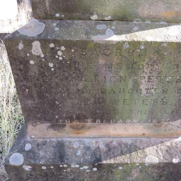 PETERS Lily Merion -1879