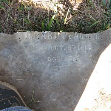 PEACOCK Elizabeth -1914