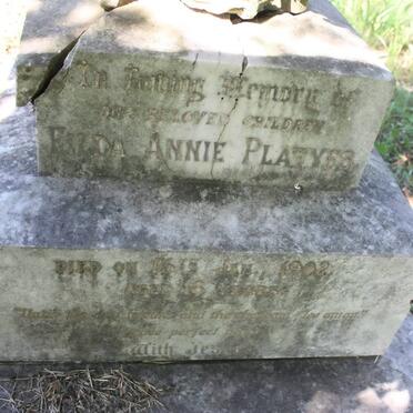 PLATYES Filda Annie -1902