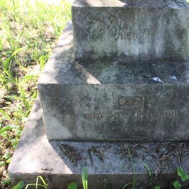 PLATYES Lousia -1899