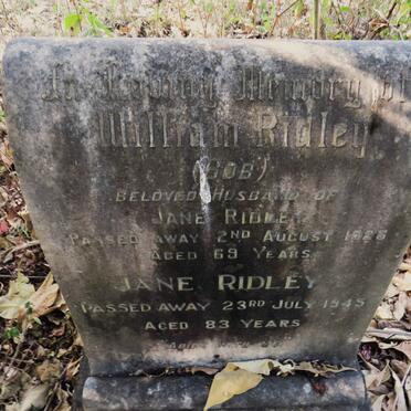 RIDLEY William -1925 & Jane -1945