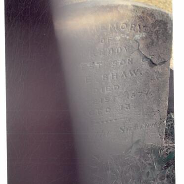 SHAW Thomas Frederick -1877