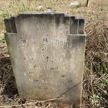 WALTERS Ann Alice -1952