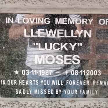 MOSES Llewellyn 1987-2003