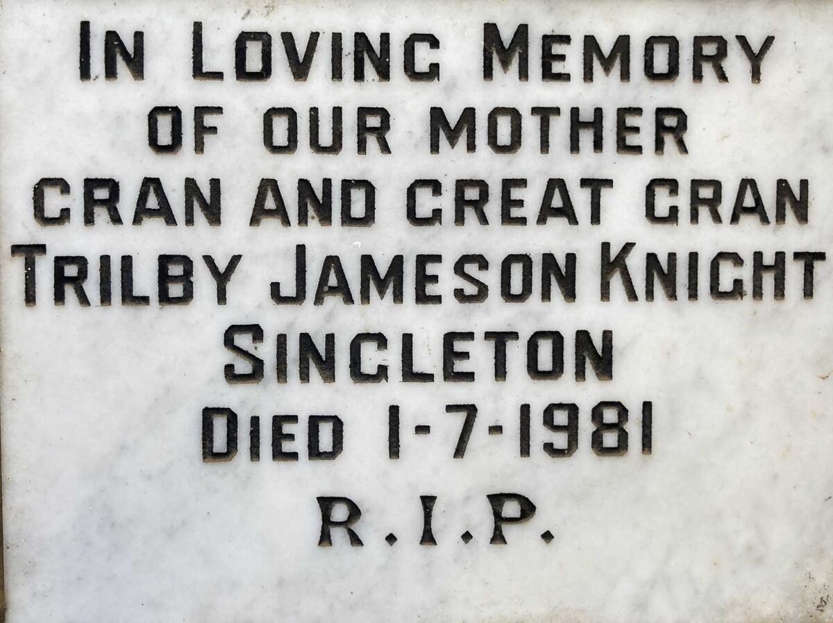 SINGLETON Trilby Jameson Knight -1981