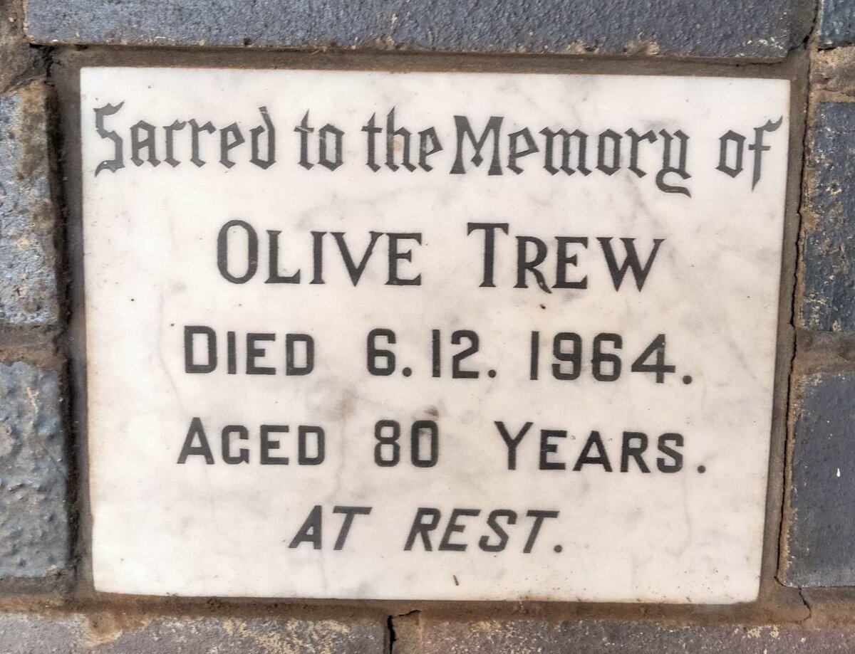 TREW Olive -1964