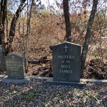 3. SISTERS of the Holy Family