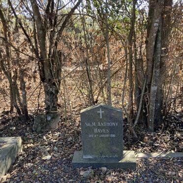 HAYES M. Anthony -1990