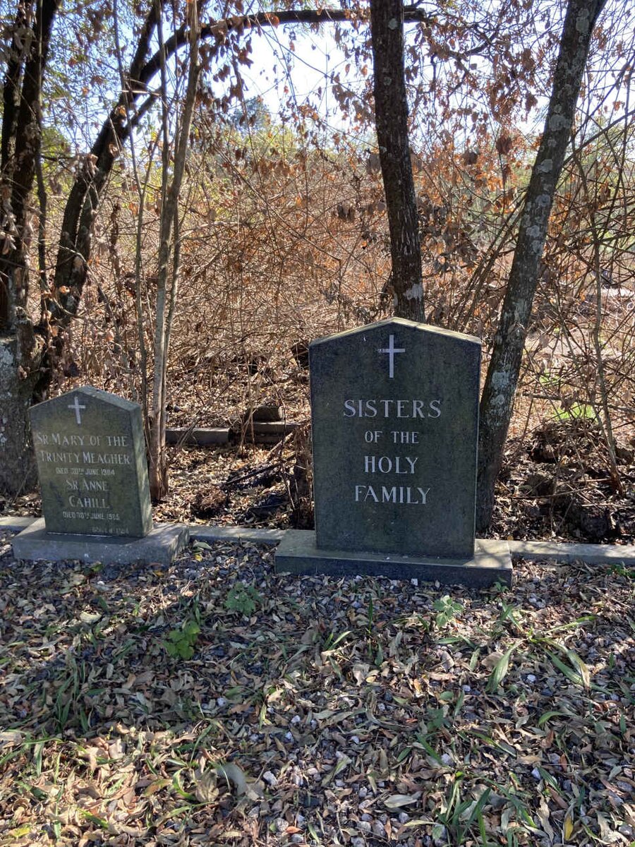 3. SISTERS of the Holy Family