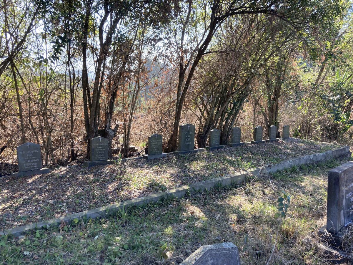 2. Sisters of the Holy Family overview